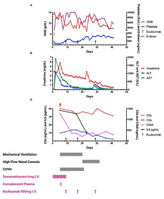 Complement Inhibition in Severe COVID-19 Acute Respiratory Distress Syndrome